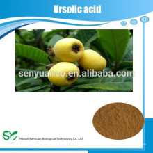 Ursolic Acid / Loquat Blatt Extrakt / 25% / 50% / 80% / 90% / 98%
